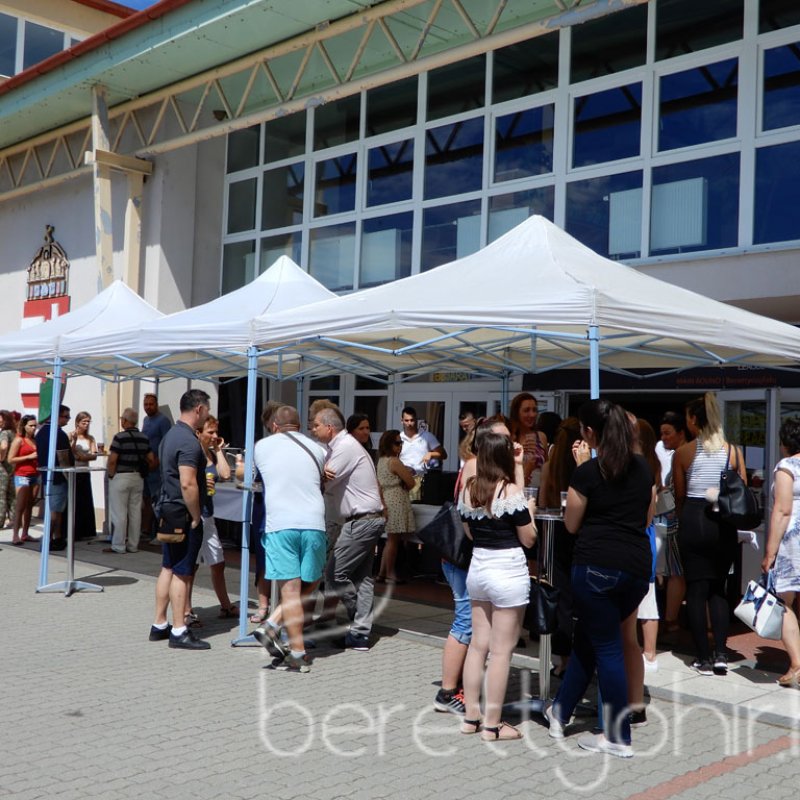 Semmelweis napi party 05